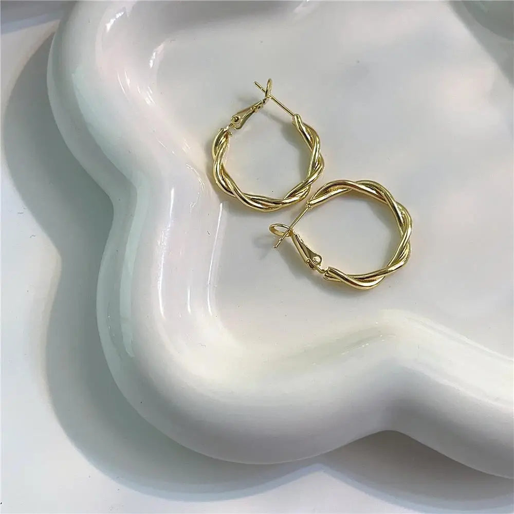 Twisted Weaving Metal Hoop Earrings - Vintage Geometric Statement