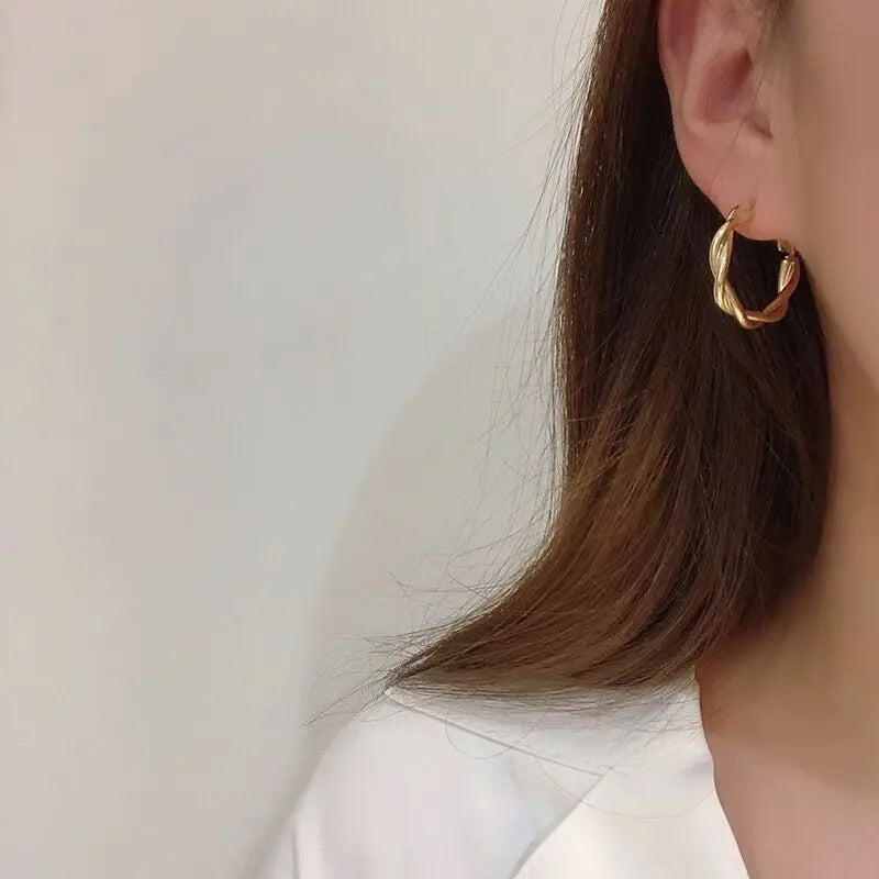 Twisted Weaving Metal Hoop Earrings - Vintage Geometric Statement