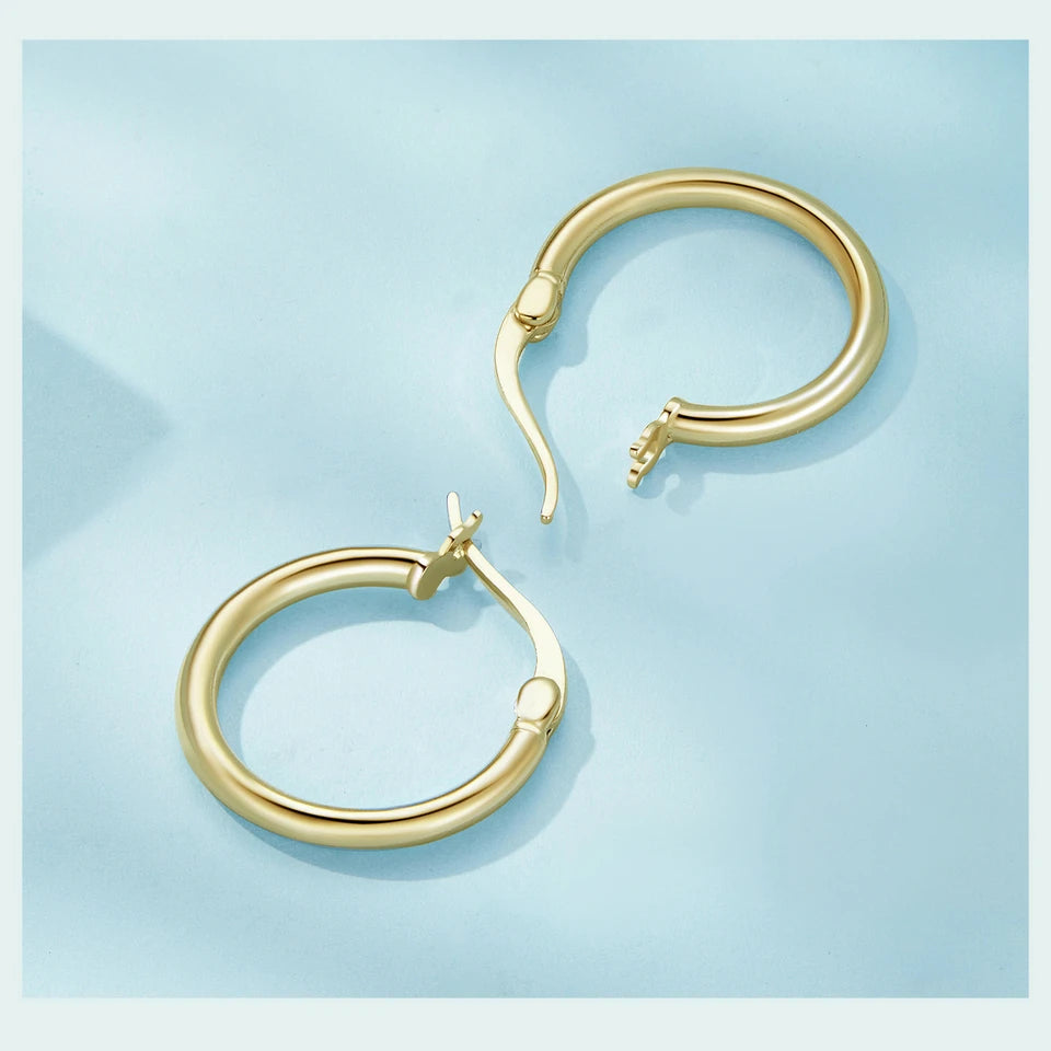 Classic Sterling Silver Hoop Earrings - Bold Hypoallergenic Hoops