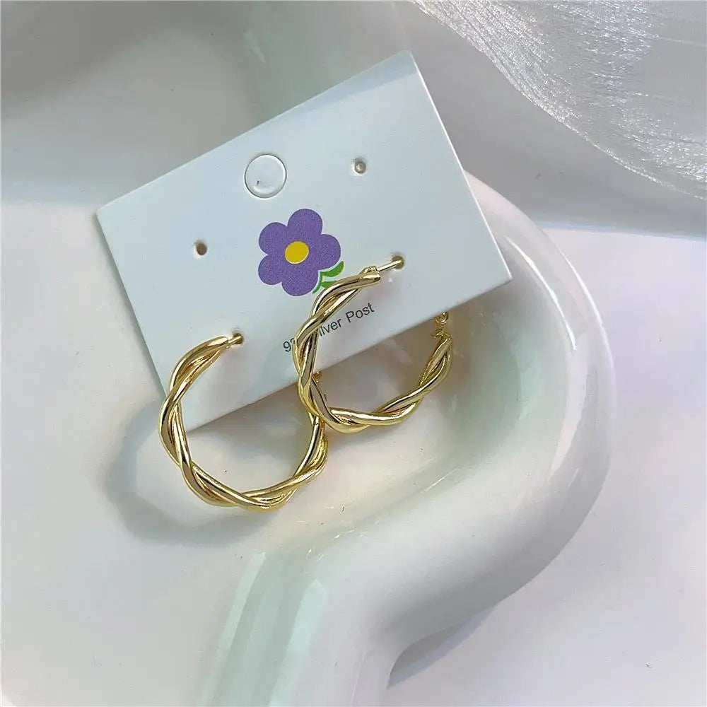 Twisted Weaving Metal Hoop Earrings - Vintage Geometric Statement