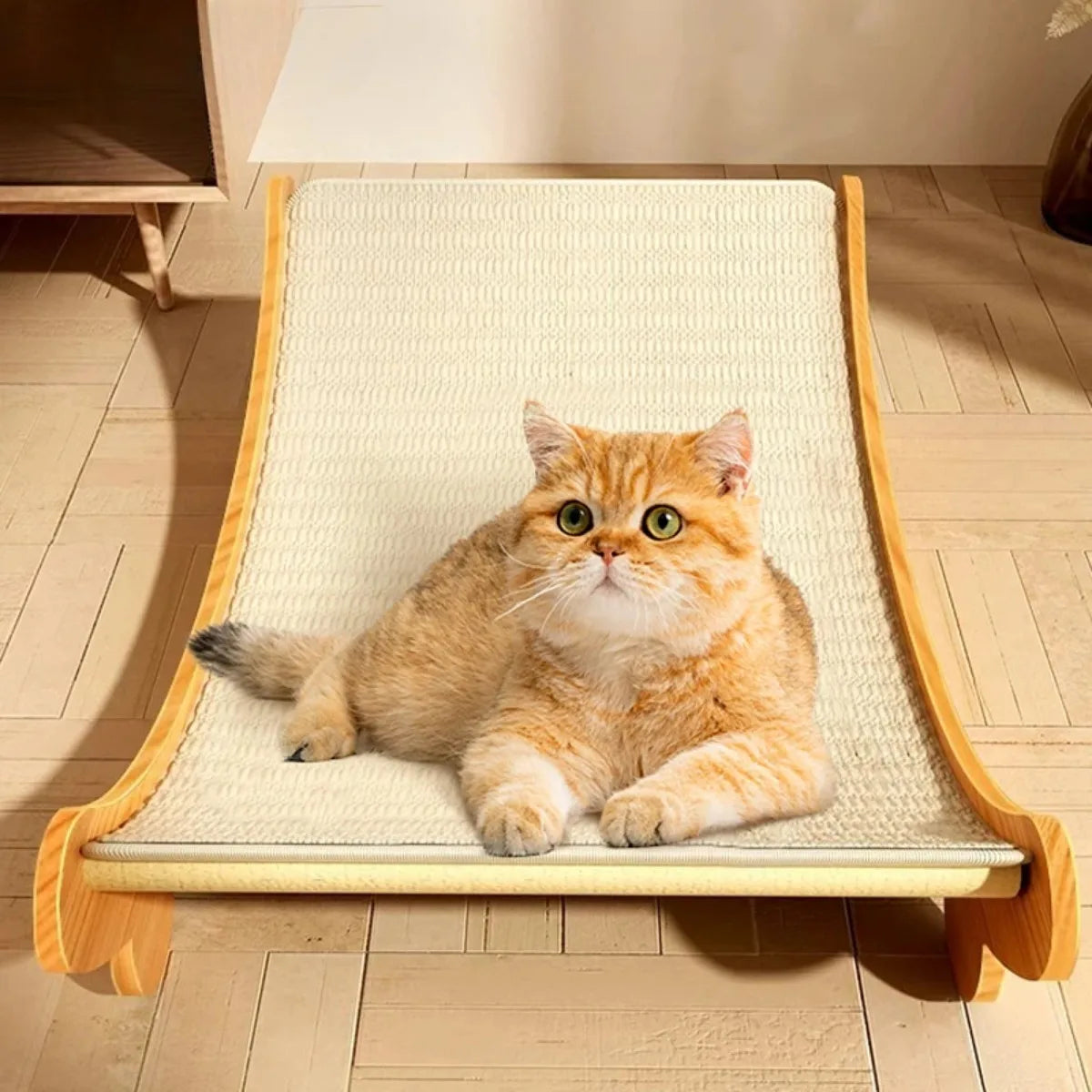 Wooden Cat Scratching Pad | Multifunctional Sleeping Bed | Pets | USA Australia