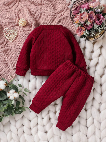 Baby unisex Solid Autumn 2Pcs Casual Outfits Long Sleeve Sweatshirt & Fall Pants For Daily